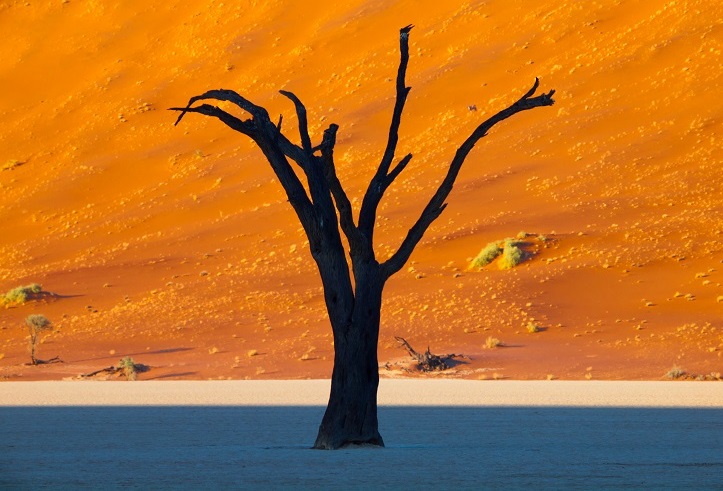 ナミブ砂漠への行き方と見どころ